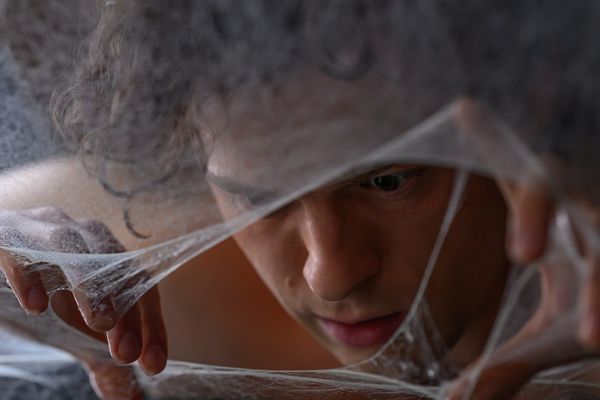 Spider-Man: Brand New Day (4K-UHD+Blu-ray)