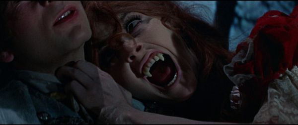 Tanz der Vampire (Fullsleeve-Edition, Blu-ray+DVD)