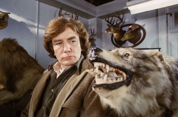 Wolfen (Fullsleeve-Edition, Blu-ray+DVD)