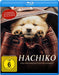 Dolphin Medien GmbH Films Hachiko - Eine Freundschaft für die Ewigkeit! (2023) (Blu-ray)