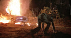 Explosive Media DVD Dreckige Hunde (DVD)