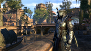 Elder Scrolls Online Morrowind (PS4) - Komplett mit OVP – Bild 6– JETZT KAUFEN BEI GLACIER GAMES .at