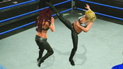WWE Smackdown vs. Raw 2009 (PS2) - Komplett mit OVP – Bild 2– JETZT KAUFEN BEI GLACIER GAMES .at
