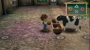 Harvest Moon A Wonderful Life Special Edition (PS2) - Komplett mit OVP – Bild 4– JETZT KAUFEN BEI GLACIER GAMES .at