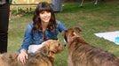 Koch Media Home Entertainment Blu-ray Dog Days - Herz, Hund, Happy End! (Blu-ray)