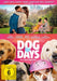 Koch Media Home Entertainment DVD Dog Days - Herz, Hund, Happy End! (DVD)