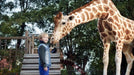 Koch Media Home Entertainment DVD Mein Freund, die Giraffe (DVD)