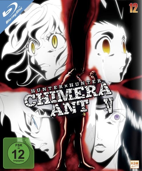 KSM Anime Blu-ray HUNTERxHUNTER - Volume 12 (Episode 125-136) (2 Blu-rays)