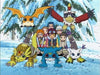 KSM Anime DVD Digimon Adventure - Staffel 2.1 (Ep.1-17) ohne Schuber (3 DVDs)