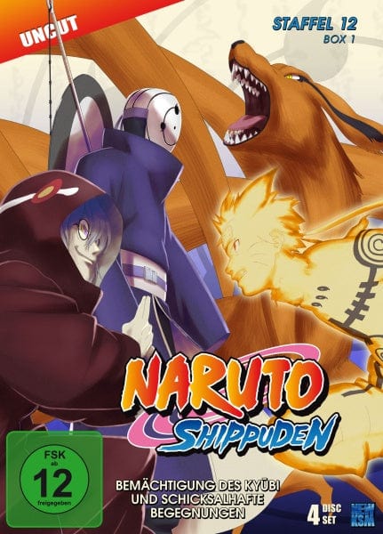 KSM Anime DVD Naruto Shippuden - Bemächtigung des Kyubi und schicksalhafte Begegnungen - Staffel 12, Box 1: Folge 463-487 (4 DVDs)