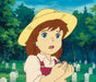 KSM Anime DVD Wunderbare Pollyanna - Volume 1 - Episode 01-26 (5 DVDs)
