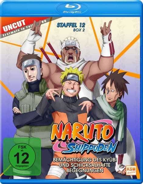 KSM Anime Films Naruto Shippuden - Bemächtigung des Kyubi und schicksalhafte Begegnungen - Staffel 12, Box 2,:Folge 481-495 (2 Blu-rays)