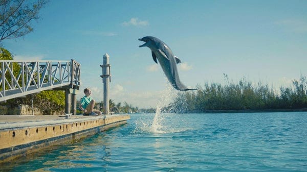 KSM Blu-ray Echo, der Delphin - Eine Freundschaft fürs Leben (Blu-ray)