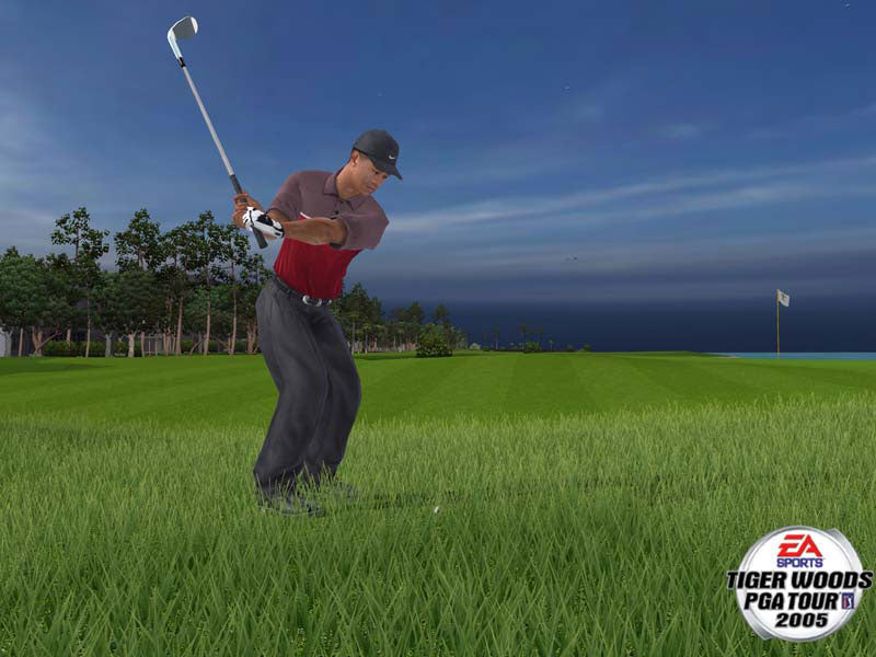 Tiger Woods PGA Tour 2005 (Xbox) - Komplett mit OVP