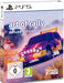 Mindscape Games Art of Rally Deluxe Edition (PS5)