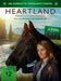 PLAION PICTURES DVD Heartland - Paradies für Pferde, Staffel 14 (4 DVDs)