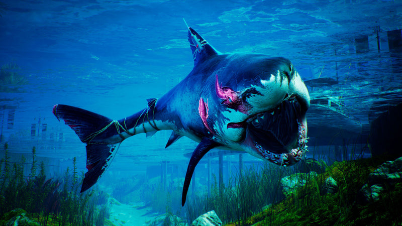Maneater [Apex Edition] (XOne) - Neu (Xbox One) – Bild 2– JETZT KAUFEN BEI GLACIER GAMES .at