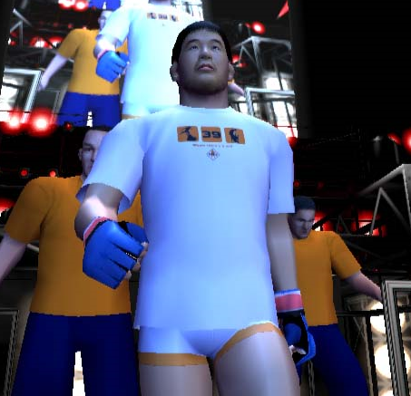 Pride FC Fighting Championships (PS2) - Komplett mit OVP