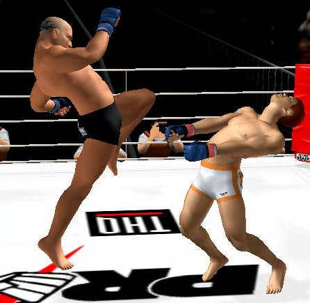 Pride FC Fighting Championships (PS2) - Komplett mit OVP