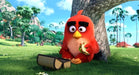 Sony Pictures Entertainment (PLAION PICTURES) Blu-ray Angry Birds - Der Film (Blu-ray)