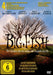 Sony Pictures Entertainment (PLAION PICTURES) DVD Big Fish - Der Zauber, der ein Leben zur Legende macht (DVD)