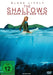 Sony Pictures Entertainment (PLAION PICTURES) DVD The Shallows - Gefahr aus der Tiefe (DVD)