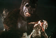 Studiocanal 4K Ultra HD - Film King Kong - Special Edition (4K Ultra HD+Blu-ray)