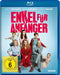 Studiocanal Blu-ray Enkel für Anfänger (Blu-ray)