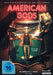 Studiocanal DVD American Gods - Staffel 2 - Collector's Edition (3 DVDs)