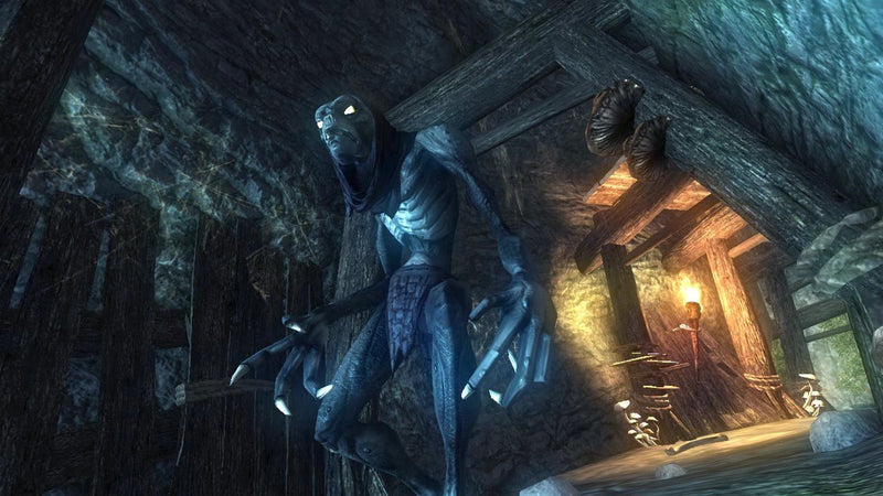Risen (X360) - Komplett mit OVP (Xbox) – Bild 6– JETZT KAUFEN BEI GLACIER GAMES .at