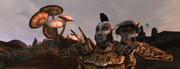 Elder Scrolls III: Morrowind [Classics] (Xbox) - Komplett mit OVP – Bild 5– JETZT KAUFEN BEI GLACIER GAMES .at