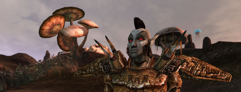 Elder Scrolls III: Morrowind [Classics] (Xbox) - Komplett mit OVP – Bild 5– JETZT KAUFEN BEI GLACIER GAMES .at