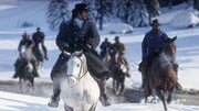 Red Dead Redemption 2 (PS4) - Komplett mit OVP – Bild 5– JETZT KAUFEN BEI GLACIER GAMES .at