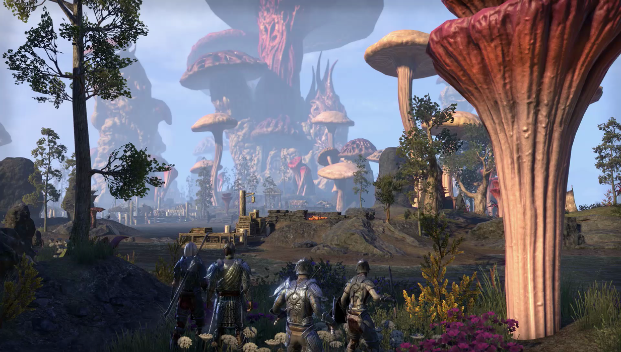 Elder Scrolls Online: Morrowind (XOne) - Komplett mit OVP